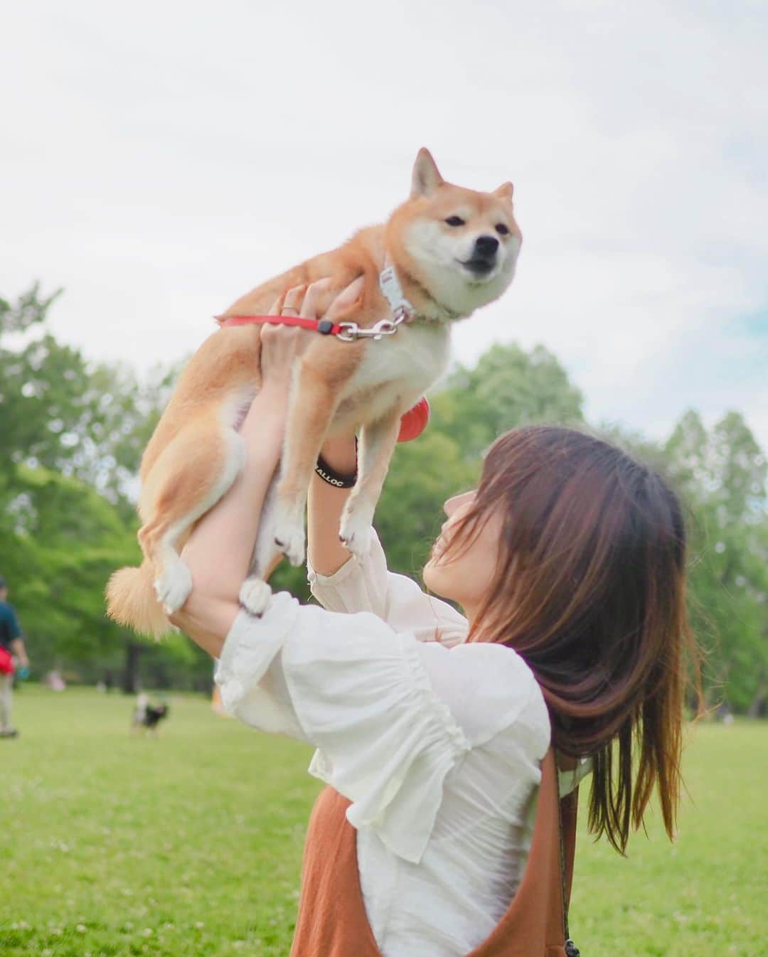 豆柴にこちゃんさんのインスタグラム写真 - (豆柴にこちゃんInstagram)「🐶 おはよー 昨日の野川公園pic続き . ①②「お前の名はシンバだ」🦁 . ③④⑤⑥ 川に自ら入っていき、 ヒャッハー‼️状態で暴走して 足、おなか、あごが泥まみれの 汚犬になったにこ。 水道水で洗いました。 . ⑦洗った後も荒れ狂う . ⑧⑨ 呼ぶとこっちに走ってくる犬かわいい。 . ⑩ちょいちょい休憩を挟む . #柴犬#豆柴#pecoいぬ部#犬#わんこ#犬#ここ柴部#shibainu#dog#mameshiba#pecotv#shiba#いぬのきもち部#しばいぬ#しばけん#こいぬ#シバイヌ#いぬ#イヌ#ペット#日本犬#子犬#puppy#pet#시바견#강아지#개#barked#9gag」5月31日 8時31分 - nikochan.mame48