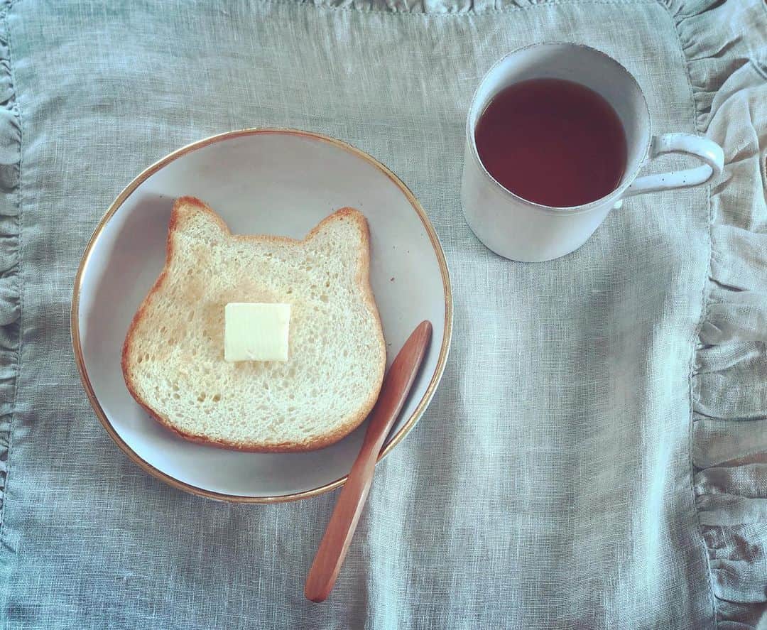 笛木優子のインスタグラム：「happy sunday 😸🍞💗 #ねこねこ食パン  언니 일본 오면 같이 가자^^ @chloe_054」