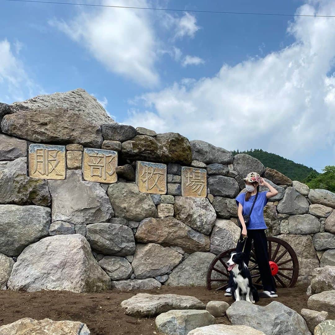 渡部いずみのグルメインスタ