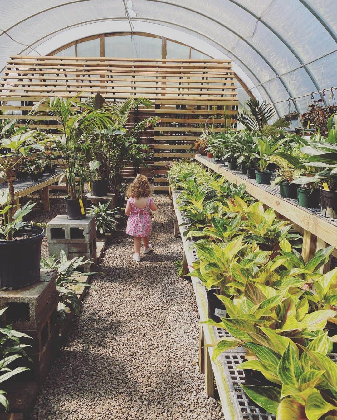 ヒラリー・スコットのインスタグラム：「My little greenhouse gal. 🌿💚」
