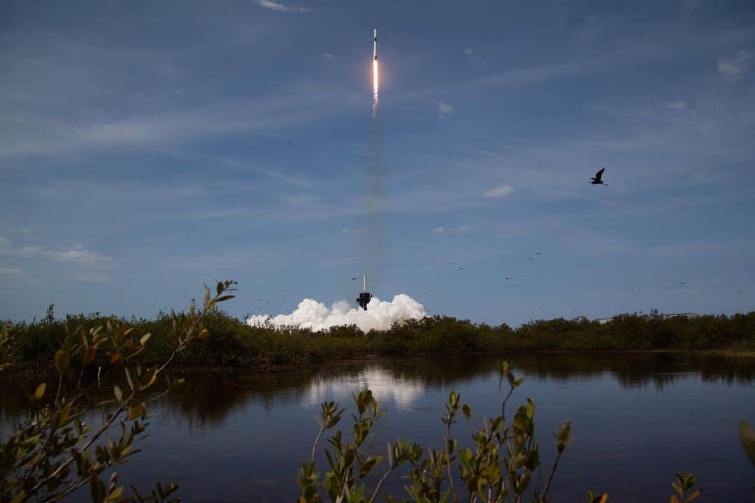 NASAさんのインスタグラム写真 - (NASAInstagram)「🚀 We did it, @spacex.⁣ ⁣⁣ ⁣ For the first time in history, NASA astronauts have launched from American soil in a commercially built and operated American crew spacecraft on its way to the International Space Station (@iss). The SpaceX Crew Dragon spacecraft carrying NASA astronauts Robert Behnken and Douglas Hurley (@astro.doug) lifted off at 3:22 p.m. EDT Saturday, May 30 on the Falcon 9 rocket from Launch Complex 39A at our Kennedy Space Center in Florida.⁣⁣ ⁣⁣ The Crew Dragon is scheduled to dock to the space station at 10:29 a.m. Sunday, May 31. After successfully docking, Behnken and Hurley will be welcomed aboard, where they will become members of the Expedition 63 crew, which currently includes NASA astronaut Chris Cassidy (@astro_seal).⁣ ⁣ ⁣ Photos 1, 3 Credit: NASA/Bill Ingalls⁣ Photos 2, 4 Credit: NASA/Joel Kowsky⁣ ⁣ (The first image in this set is a false color infrared exposure of liftoff.) ⁣ ⁣ #NASA #SpaceX #Launch #CrewDragon #Spacecraft #Liftoff #LaunchAmerica」5月31日 10時40分 - nasa