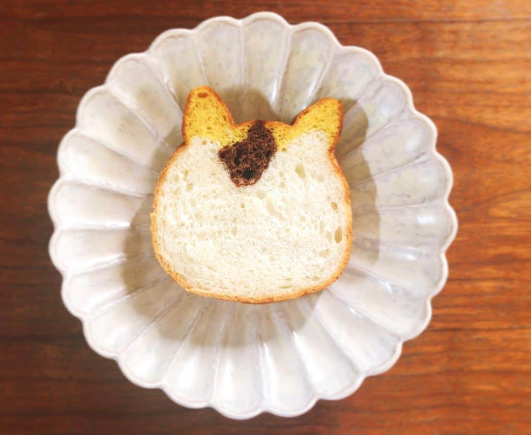 市井紗耶香さんのインスタグラム写真 - (市井紗耶香Instagram)「🐈…🍞 #うちのタマ知りませんか  #猫村さん #食パン」5月31日 11時24分 - sayakaichii