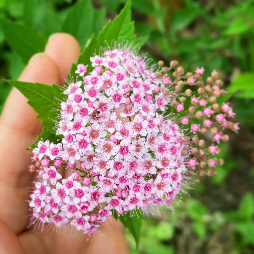 奥田恵梨華のインスタグラム