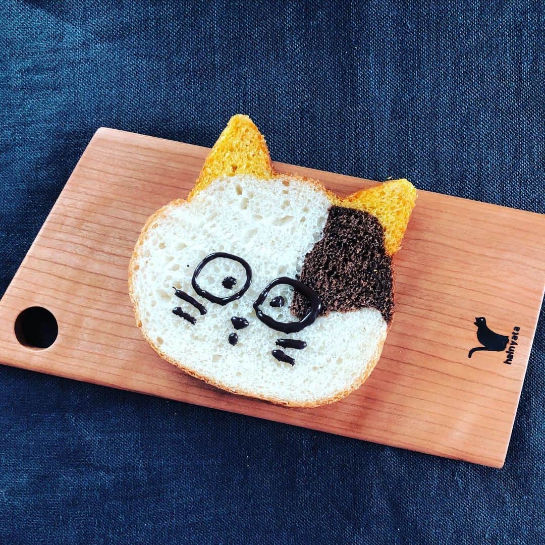 笛木優子のインスタグラム：「うちのタマ知りませんか  ねこねこパン  懐かし〜〜 ドンジャラやったな〜🀄️」