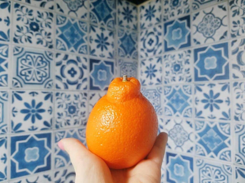 ニコラのインスタグラム：「朝から毎週のオンラインレッスン😊 続けることが大切。ってモチベーション下がり気味だった自分に言い聞かせてやった笑😜 よい一日を🧡  #先生は大好き #写真は先日のオレンジを食べる前の一枚笑」