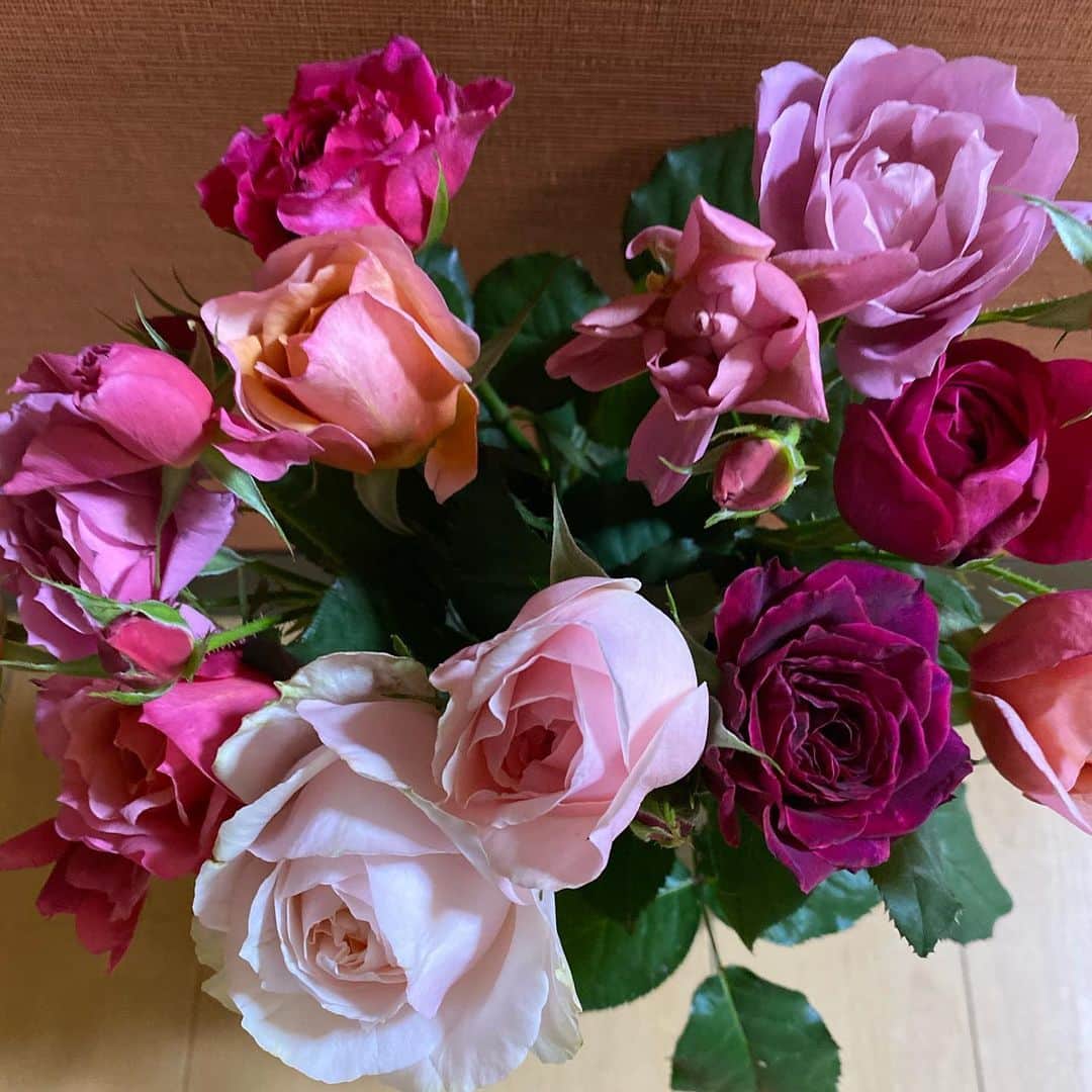 のインスタグラム：「Wonderful Sunday 🌹 It’s hug from U. Thank u sweet R. @rosefarmkeiji」