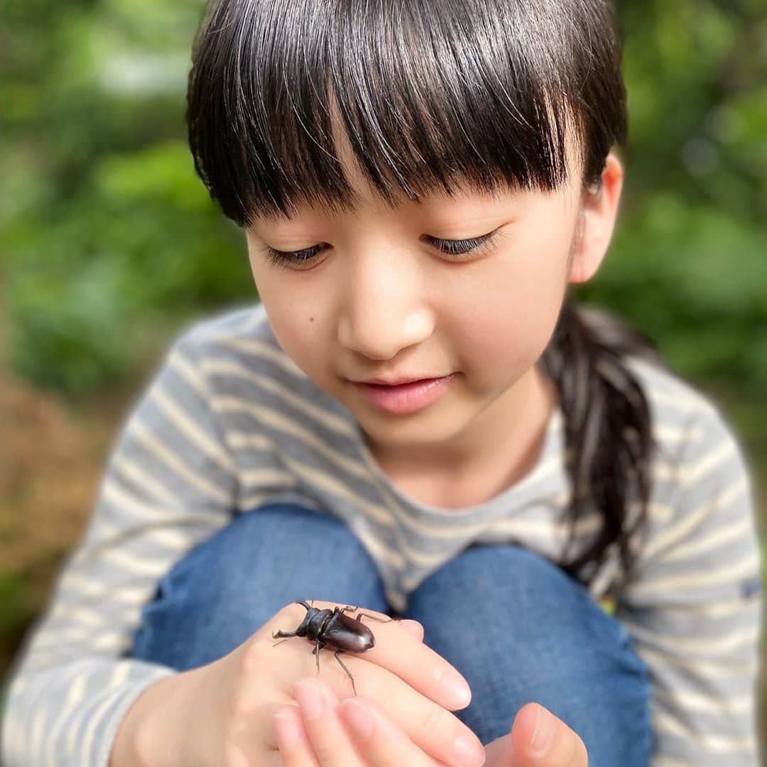 横溝菜帆さんのインスタグラム写真 - (横溝菜帆Instagram)「家の近くで、クワガタを見つけました‼︎ 踏まれてしまいそうだったので、家に連れて帰りました。 ・ 本当は飼いたかったのですが、死んでしまったらかわいそうなので、見つけた場所の近くの木に返してあげました🌿 ・ 苦手な昆虫もいますが、小さいクワガタはとても可愛かったです💕 元気に成長してくれますように✨ ・ ・ #クワガタ #横溝菜帆」5月31日 13時51分 - y_naho_te