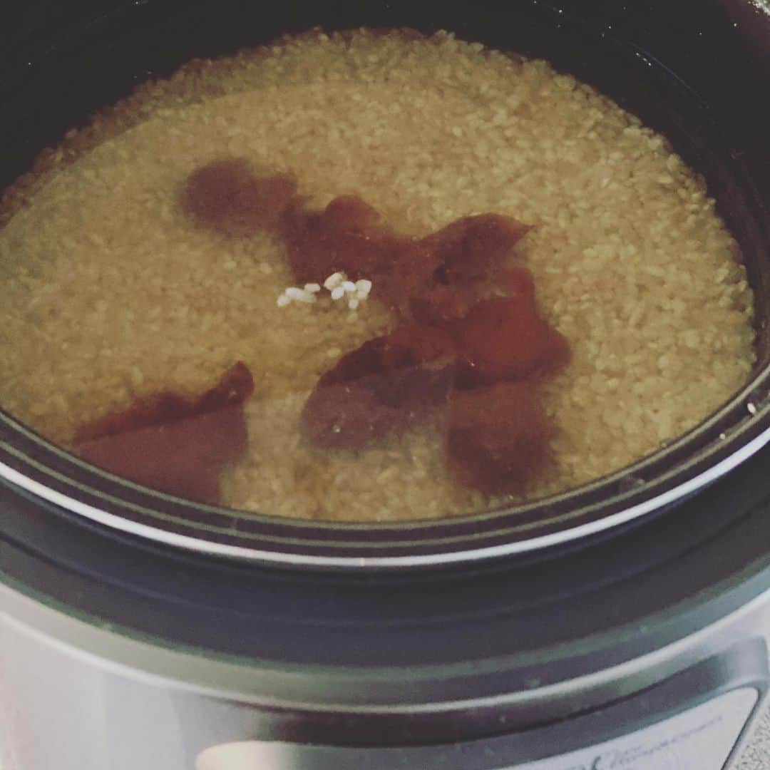 吉野紗香さんのインスタグラム写真 - (吉野紗香Instagram)「It is even more delicious if you soak the rice in water before cooking🍚✨ It is even more delicious if you add plum/Umeboshi to rice and cook🧑🏻‍🍳💕✨ ご飯は炊く前にお水に浸けて置きます🍚✨梅干しを一緒に入れて炊くのも美味しいです🧑🏻‍🍳💕✨ #brownrice #plum #umeboshi #ricekooker #necessities #玄米　#梅干し　#炊飯器　#必需品」5月31日 14時15分 - sayakayoshino_official