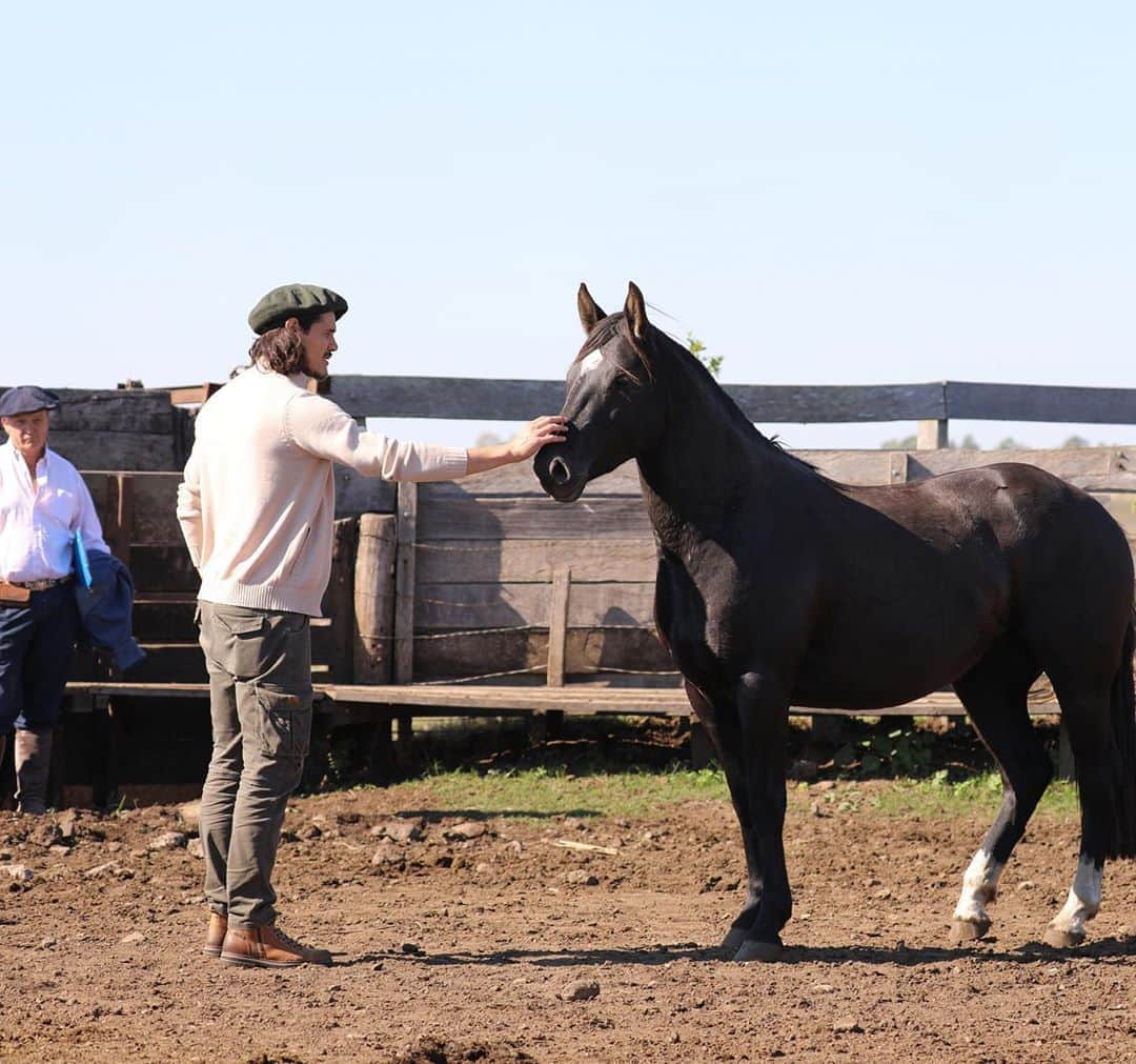 エディンソン・カバーニさんのインスタグラム写真 - (エディンソン・カバーニInstagram)「Gracias Carlitos por tu tiempo🤝🐎👌...」6月1日 1時16分 - cavaniofficial21