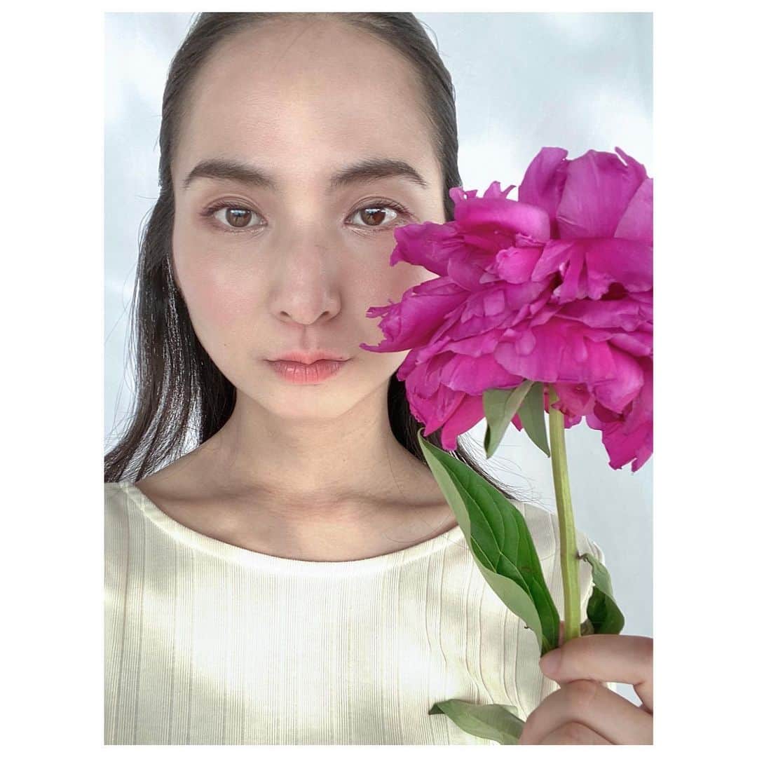 芥川舞子のインスタグラム：「. #芍薬 の季節ですね。 うっとり。」