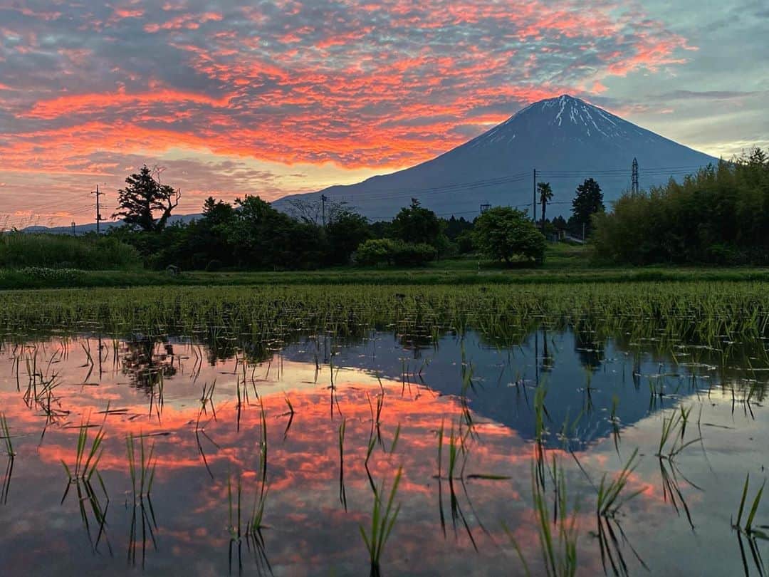 phantastic420のインスタグラム：「. 🤩🤩“Shizuoka” prefecture in Japan is a place where you can see the most “phantastic” Mt. Fuji🗻 in the world.🤩 #富士山 #mtfuji #japan #shizuoka #fujinomiya  #宮すた #miyasta @fujinomiyacity  #phantastic420photography #mostphantasticmtfuji #selamatpagi  #goodmorning  #おはようございます 😇😇😇😇😇😇😇🗻😇😇😇😇 まさかの方焼けで終了‼︎😭そもそも今日は☁でダメかと思ってたのですが、左から焼け始め、そして右も焼け始め、そのあと真ん中くるぞ〜と思ってたらここから急速に失速…🤣太陽☁に遮られてしまって非常に残念な結果になってしまいました🤣ここから左の方にダイヤ狙いの方が密になっておられましたが撃沈だったのではないでしょうか？自分は速攻帰って寝てました〜😴」