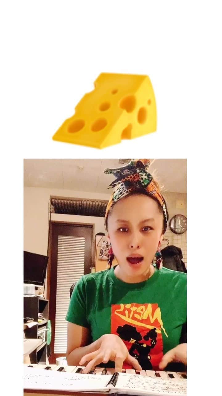 Metisのインスタグラム