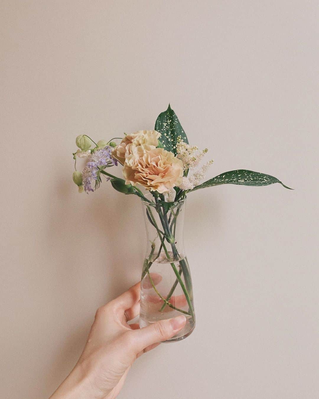 榊原伶奈のインスタグラム：「在宅勤務で部屋が寂しかったから #花の配達 をやってみた💐💫 クーポンコード使うと 2回お試しできるみたいだから 気になる人は是非やってみて欲しい🕊✨ . クーポンコード：S5TB . #花のある暮らし #ブーケ　 #自粛生活 #在宅勤務 #テレワーク　#花 #flower #花の定期便　#flower_is #flowerのある暮らし」