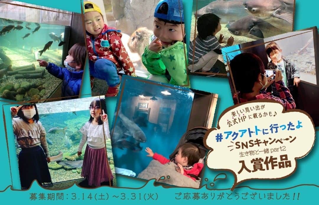 世界淡水魚園水族館 アクア・トト ぎふのインスタグラム：「#アクアトトに行ったよ　SNSキャンペーン　優秀作品発表！  2020年3月14日（土）～3月31日（火）に募集した『生き物と一緒の写真　part2』。 臨時休館に伴いお伝えできなかった素敵なお写真をご紹介いたします。  お写真を投稿していただいた皆さまには、発表および掲載が遅れましたことをお詫び申し上げます。たくさんの投稿、ありがとうございました。  #アクアトト #アクアトトぎふ #アクアトト岐阜 #水族館」