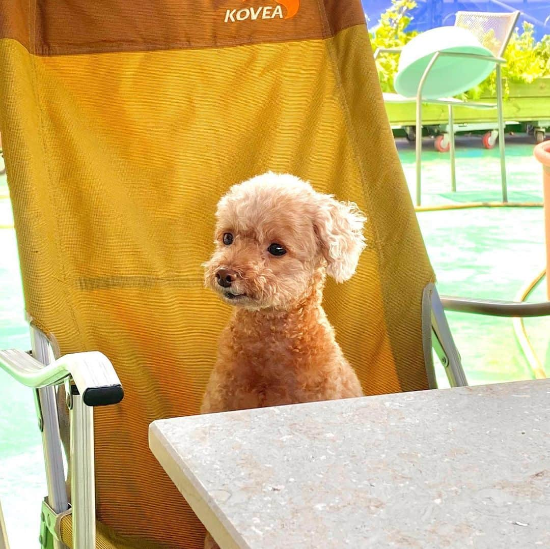 ヘリョン さんのインスタグラム写真 - (ヘリョン Instagram)「옥상에서의 행복 🐸💛」5月31日 17時15分 - haeryung_na_