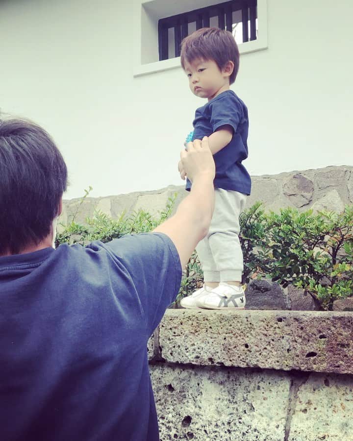 遥天翼のインスタグラム：「高いところによく登らせるからもう全然怖くないみたい。  凄い子だ。」