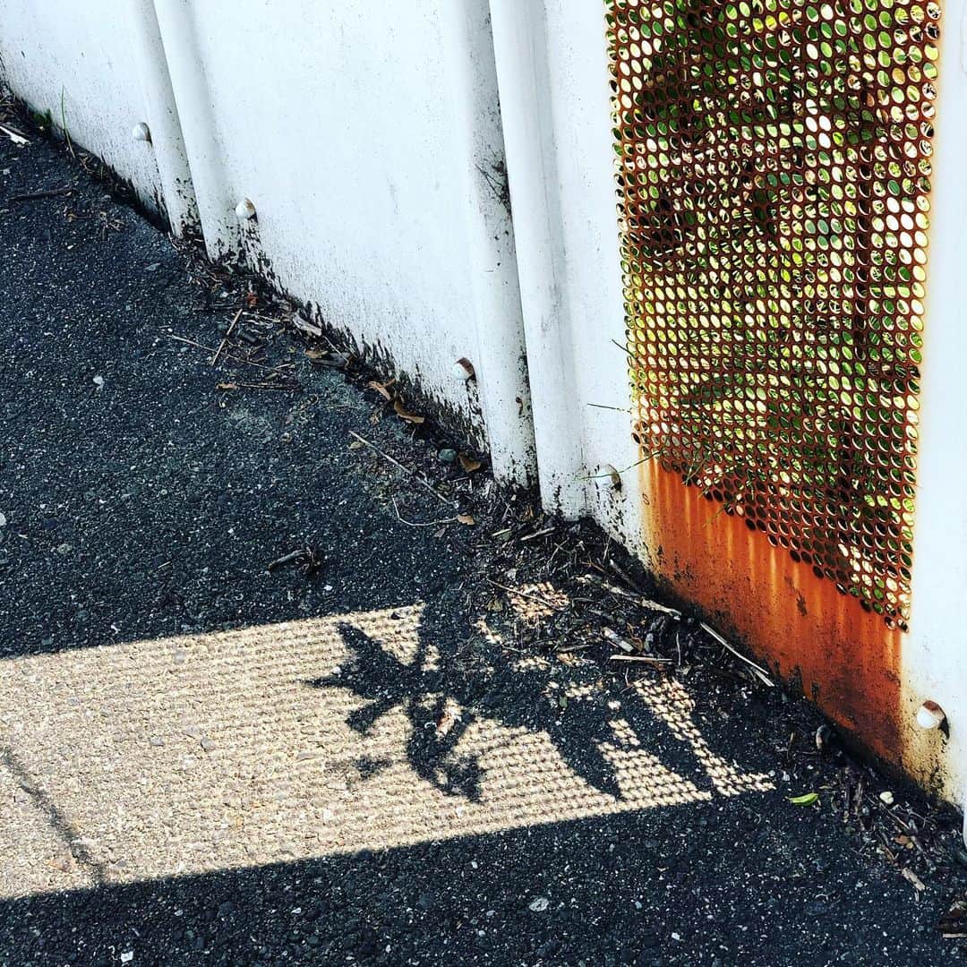 岡田育さんのインスタグラム写真 - (岡田育Instagram)「#shadowplay #影遊び #tokyo #nojusticenopeace」5月31日 18時04分 - okadaic