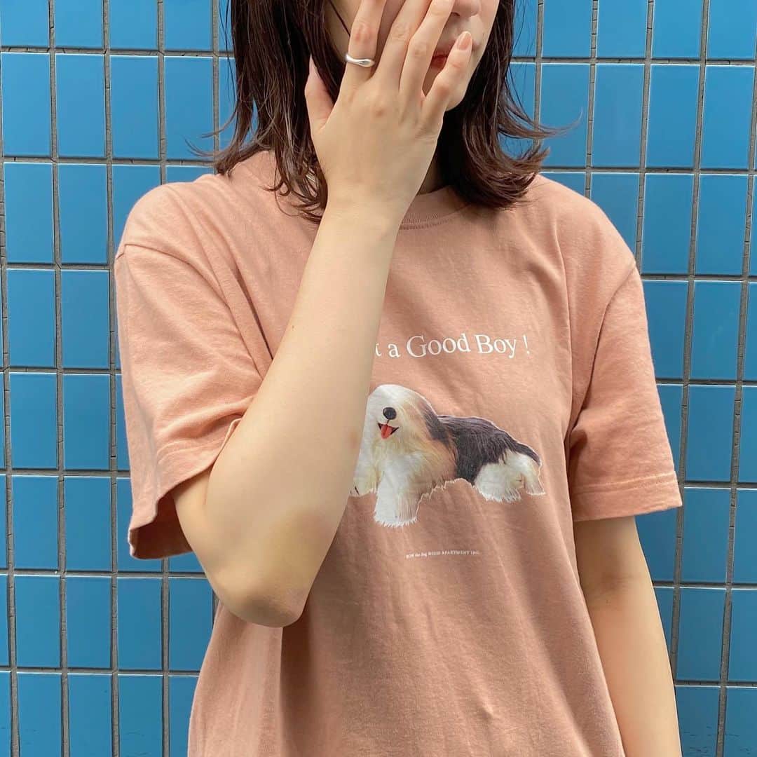 のインスタグラム：「ㅤ @apartment_amt のBonちゃんTシャツを自慢するくらいにげんきですわたし🥺🐶 なんてかわいくていいこなのでしょうか？ ㅤ そしてみなさまお調子はどうですか？ #apartment_amt #葉服 #肘のあざはタンブリングの練習でついたのでお気になさらずですぺこり」