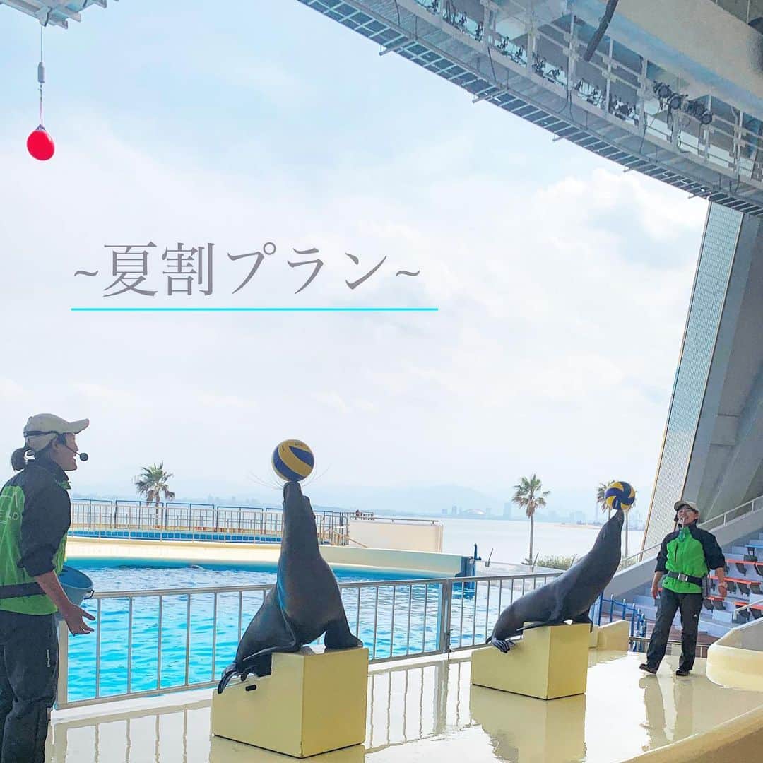 【公式】ホテルマリノアリゾート福岡のインスタグラム