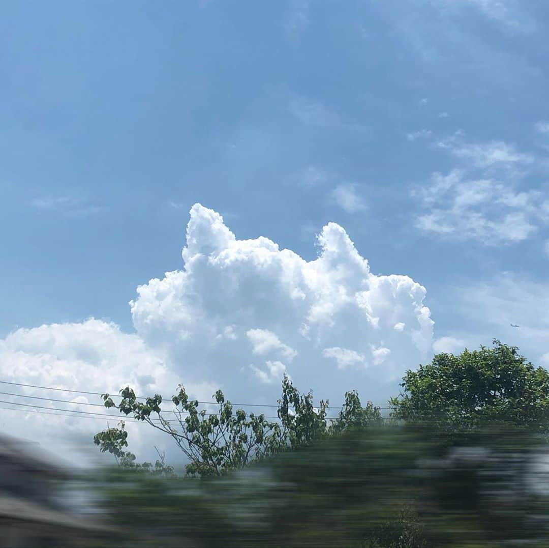 藤岡沙也香さんのインスタグラム写真 - (藤岡沙也香Instagram)「こんばんは。 昨日見つけた雲☁️ チェシャ猫に見えて思わず撮影。 あ❗️❗️ 解禁したCM。 私もテレビで初めて見れました🌟 しかも2月に共演した方と共演してるんですよ。気がついた方いらっしゃいますかね？  #チェシャ猫　#成り果て #推し　って言われたい」5月31日 18時41分 - sayaka.himeka