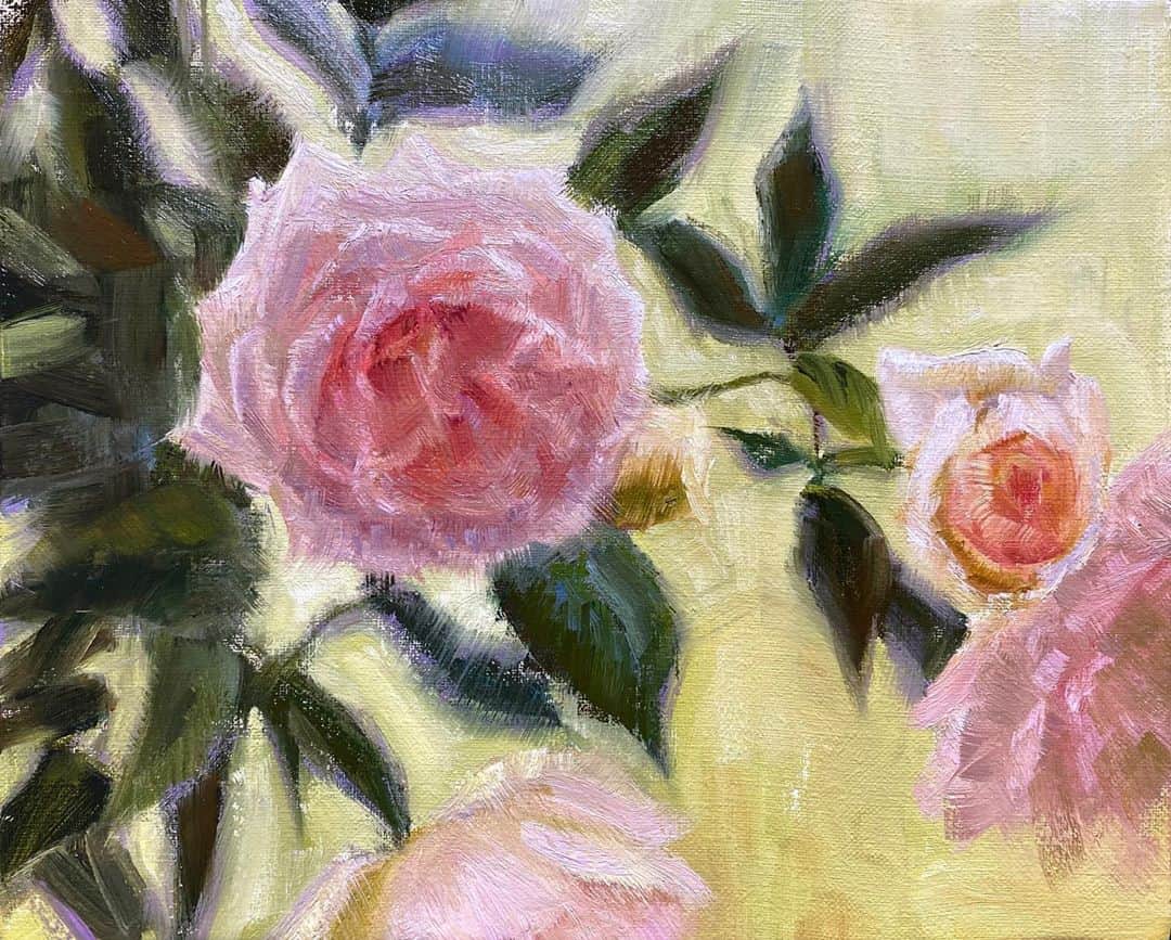 古賀陽子のインスタグラム：「“春光と薔薇”   #rose #バラ  #アート #アーティスト #アートワーク  #作家 #画家 #美術館 #絵 #作品 #油絵 #絵画展 #静物画 #アートのある暮らし #絵画のある暮らし #ギャラリー #個展 #神戸 #exhibition #exhibit #art #instaart #instaartist #artist #artwork #gallery #stilllife #painting #yokokoga #古賀陽子」