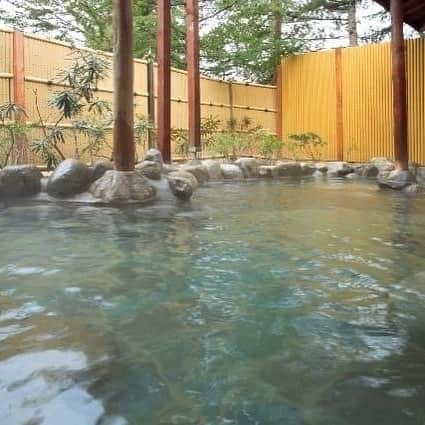 リゾートホテル蓼科のインスタグラム：「6月1日より日帰り入浴の営業を再開いたします。  ご来館の際にはマスク着用のご協力をお願いいたします。 また、脱衣所もカゴの数を減らしておりますので、ご了承ください。  日帰り入浴営業時間 14：00～22：00 （受付21：00） 料金 大人 800円、小学生 400円、未就学児 無料」