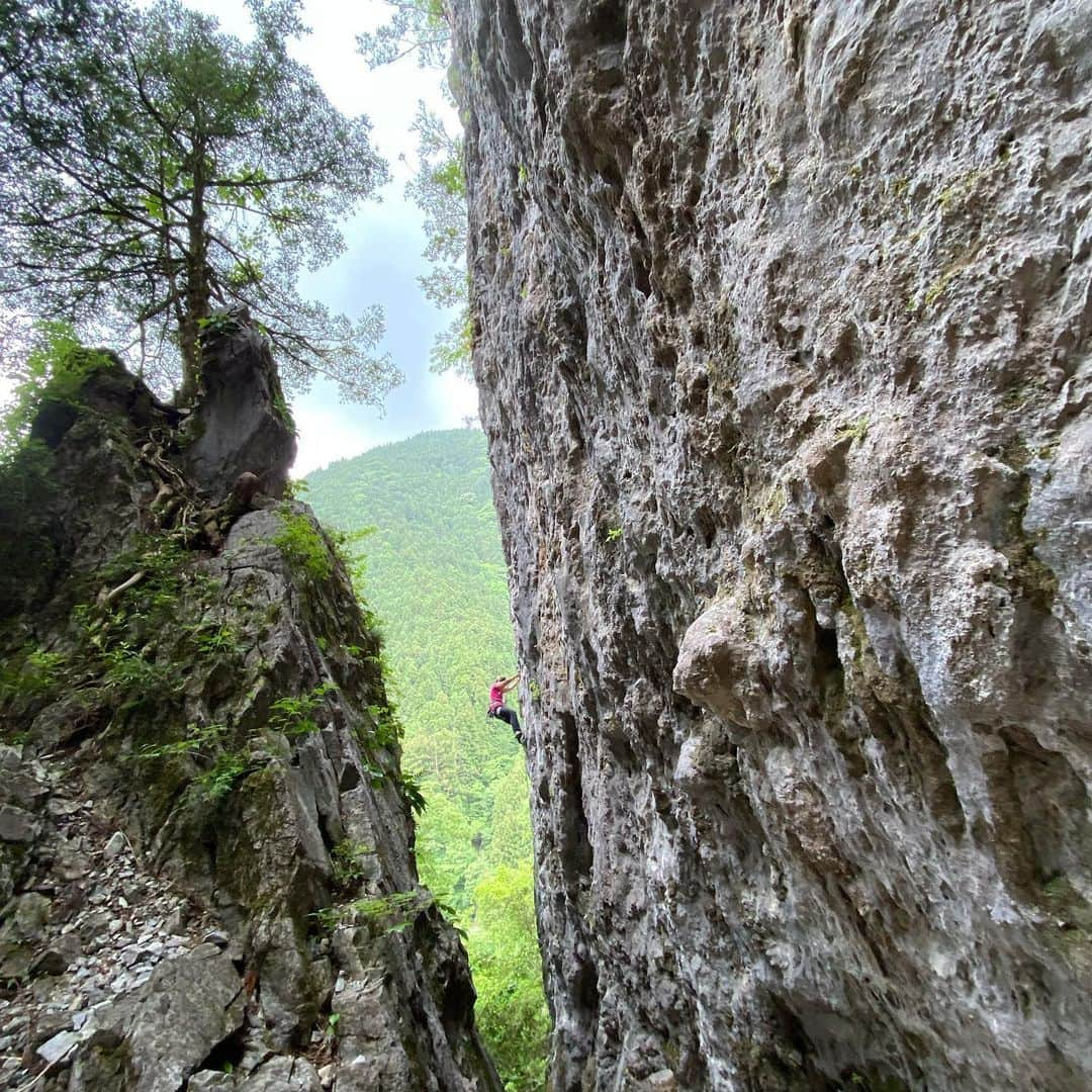 平山ユージさんのインスタグラム写真 - (平山ユージInstagram)「自粛明け最初の外岩クライミング🌲 皆んなと過ごす外の空気は最高に美味しい。そして弾む会話が全てを表していた✨✨ My first day of climbing on rock after release of our self-restraint by Japanese government 🌲Being outdoor feels so great 🙌🏻🙌🏻 but I can feel that with our conversation how it was dynamic ✨✨ #okutama #tokyo  @thenorthfacejp  @beal.official  @climbskinspain  @blackdiamond  @climbparkbasecamp  @boulderpark_basecamp  @basecamptokyo  @basecamponlineshop」5月31日 19時30分 - yuji_hirayama_stonerider