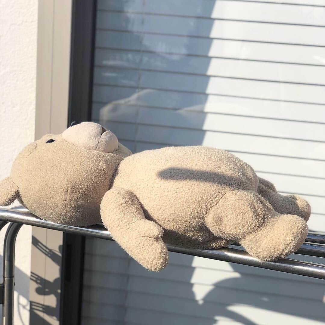 のインスタグラム：「2020.5.31  もう5月も終わり！  TED🧸 『俺な〜もうステイホームに飽きてんねん！ やる事ないしとりあえず日光浴しとくわ〜』 . . . シェリーメイ＆ダッフィー🐻 『たまに外の空気吸うと気持ち良いね〜！最高🐻♡』 . . . 寸劇失礼w  以前洗濯に使うモノの収納どうされていますか？というご質問頂いていたんですが、なかなかお答えできていませんでした🙏💦 . . 実は私洗濯バサミも洗濯ハンガーも365日外に出しっぱなしです😂はいズボラ〜w  でもこのステンレス製なら、外に置いておいても錆びたりしないんです！  かれこれ10年近く使っているのに、未だ現役！  本当は雨の次の日とか拭いたりしたら良いんだけど、それもしてないw  だから花粉とかつきまくりかもしれんw  そんなズボラな私なので、なんの参考にもならない誰得のpost失礼しました😂🙏 . . . ステンレス製の洗濯ハンガーや布団ハンガーは#楽天room に載せてます .  #TED#sherrymay #daffy  #disney  #cleaning #laundrygoods #laundry  #テッド#シェリーメイ#ダッフィー#ベランダ#バルコニー#洗濯ハンガー#洗濯バサミ#ステンレス洗濯バサミ#洗濯ピンチハンガー #楽天room#楽天roomやってます#roomインフルエンサー」