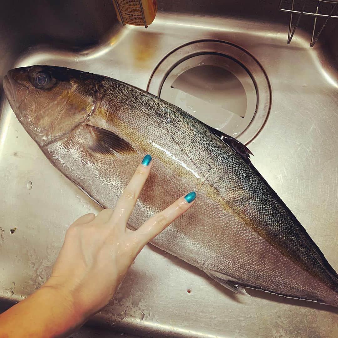 澁谷梓希さんのインスタグラム写真 - (澁谷梓希Instagram)「はじめて魚捌いて かわいそうという気持ちが芽生えて ちょっと魚しばらく食べられそうもない . 全ての食材に感謝だ。」5月31日 19時57分 - azk_s811