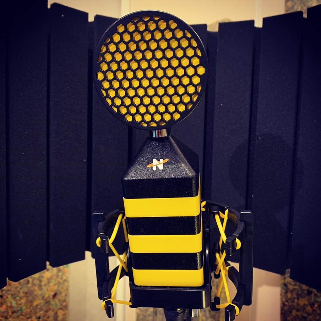 沢口千恵さんのインスタグラム写真 - (沢口千恵Instagram)「先日 ボイスサンプルのディレクションをしました。  スタジオ楽しい。  マイクがはじめてみる蜂のかたちのもので、ポップガードが装着されてるの。  響きも音もよくて欲しくなりました。 使う力がないけど…。」5月31日 20時10分 - chiesawaguchi