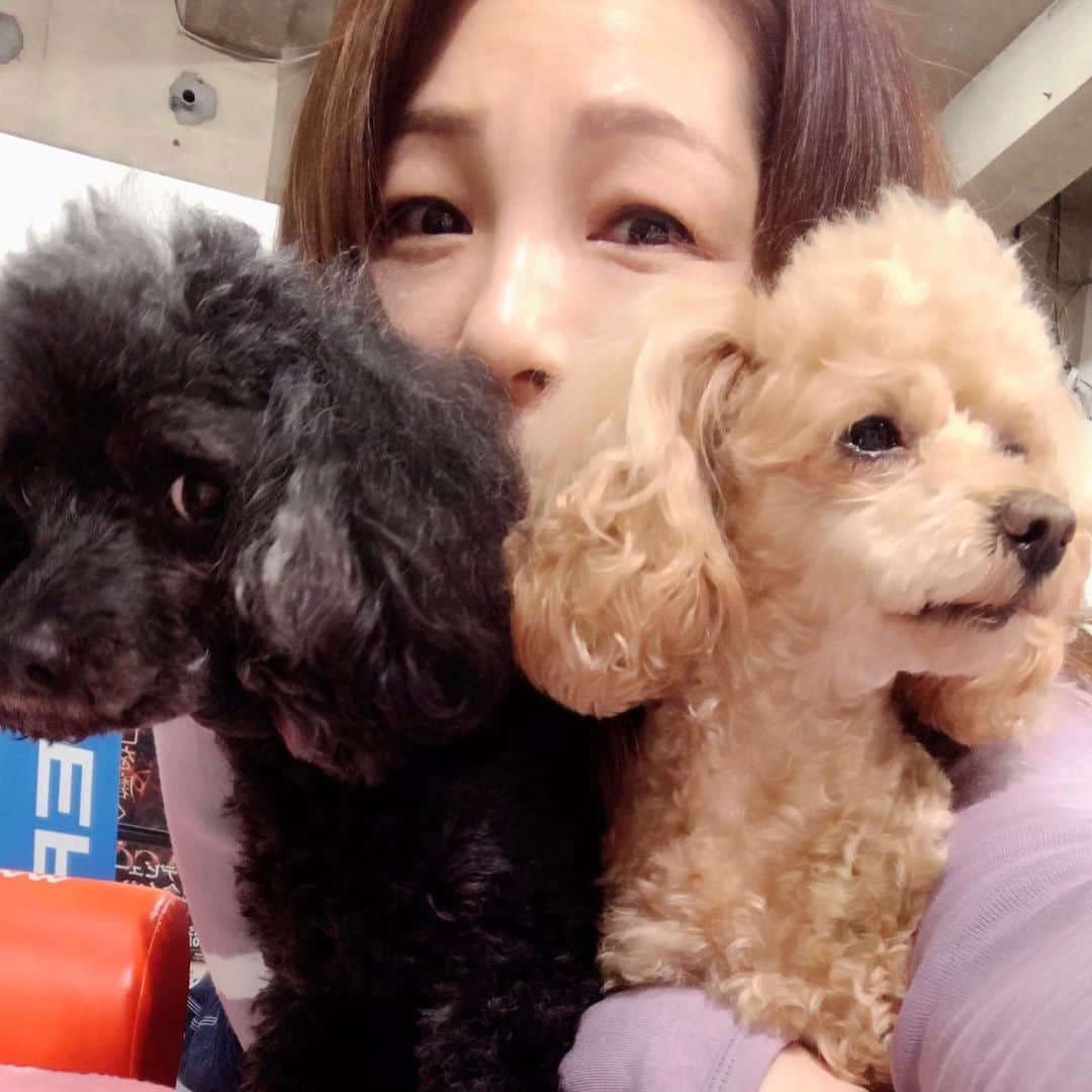 井上貴子のインスタグラム：「本日 イチナナ動画配信後の自撮り。  昨日木村花選手の告別式だった。  今日もTVでこのことに関するニュースが多くやっていた。  なのに！！ なぜ？？ イチナナ来てくれた方は気付いたと思うけど… 井上貴子vsファン で会話してる中に  嫌がらせ的な言葉を 投げてこれるのか…  この配信は皆さんに アタシの顔はダイレクトに映るので…きっとなんだこいつ？の顔に気付いた方もいたかもね。  当然ヤツはプロフィールを 書いてない、写真もない。  でもチェック済み。  今後様子をみるけど またそーゆーことが あってもイイように 対処させてもらいますね。  来てくれるみなさんも イイ気はしないしね。  しかし… わざわざ入ってくるなら もっとマトモな嫌がらせにしてよ。  なにがしたかったんだろう（笑）  という事で  次回は6月2日19時から 神取忍のアカウントで イチナナ動画配信します^ ^  神取さんと対談です！  どーぞ！ おたのしみにーー  Happyで^ ^  医療従事者 医療に携わる全ての皆様 介護施設 配送業者 スーパー、コンビニの店員の皆様  ゴミ回収業の方々  コロナ問題に携わる皆様。  ありがとうございます。  #井上貴子  #LLPWX #女子プロレス #紅緒と柊音 #トイプードル部　 #LLPWX道場 #嫌がらせ #イチナナ配信6月2日19時 #STOPCOVID19」