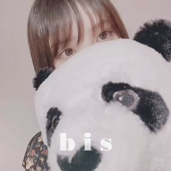 bis_web bis [ビス] のインスタグラム