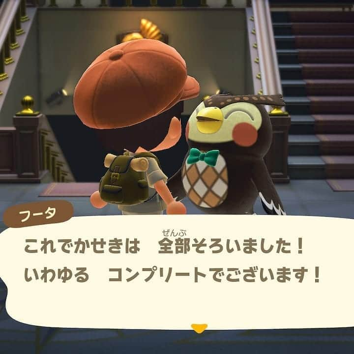 田中永真のインスタグラム：「22時からフランスピアノのなかがわさんとインスタライブやります。ポケモンの話ばっかりすると思います。 #あつ森 #いわゆるコンプリートした #関係ない写真 #写真無いと更新出来ない #それがinstagram」