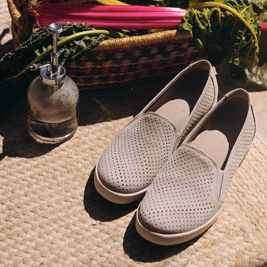 のインスタグラム：「⭐⭐⭐⭐⭐ “Perfect, cute, stylish and so comfy!” – Melissa」