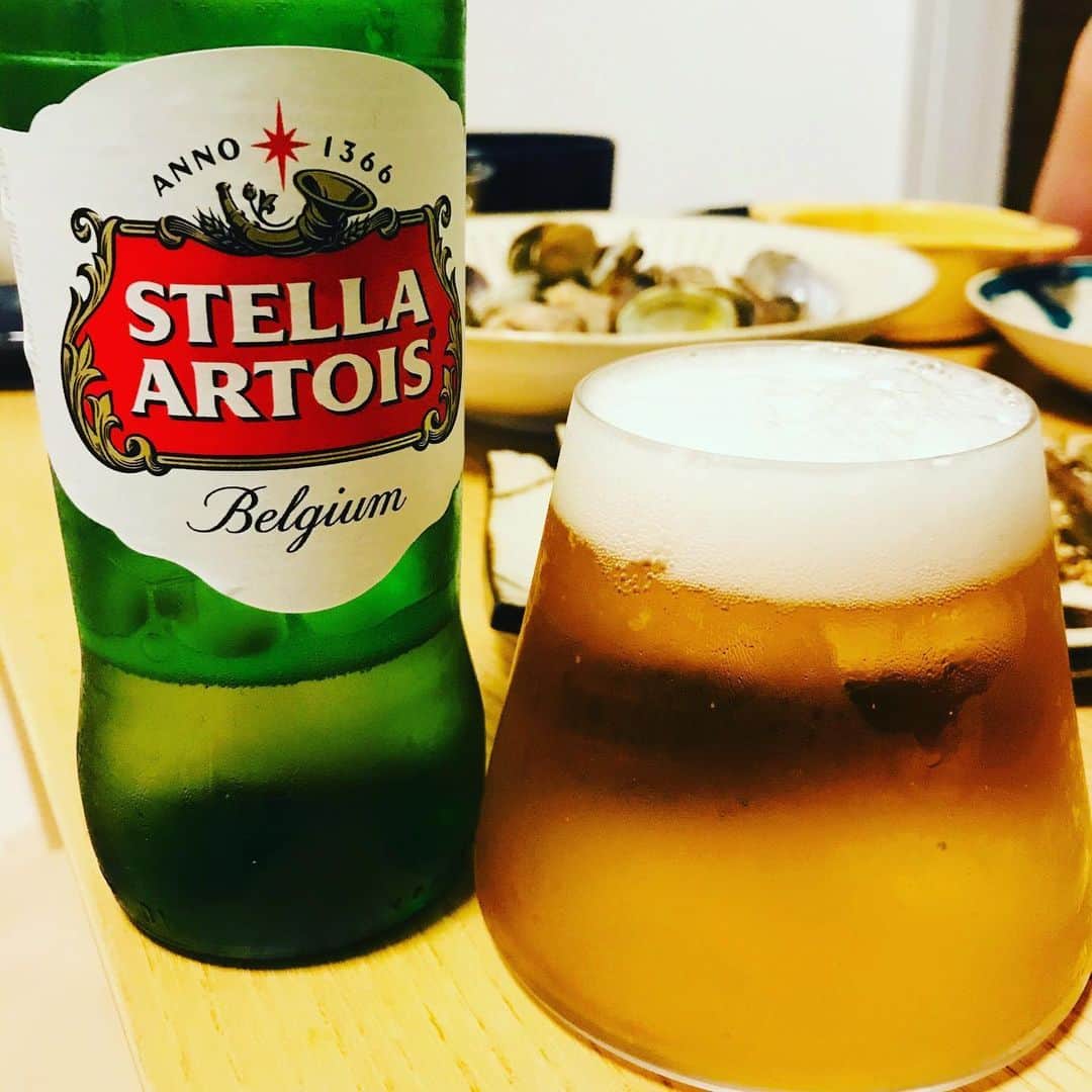堀井亮佑のインスタグラム：「ベルギーを代表するピルスナー、ステラアルトワ。キレ良くて爽快で美味い。一生これでもいい #beer #堀井ビールログ」