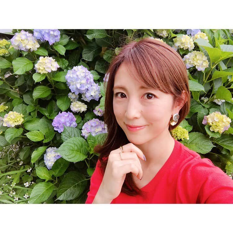 大谷朋子のインスタグラム