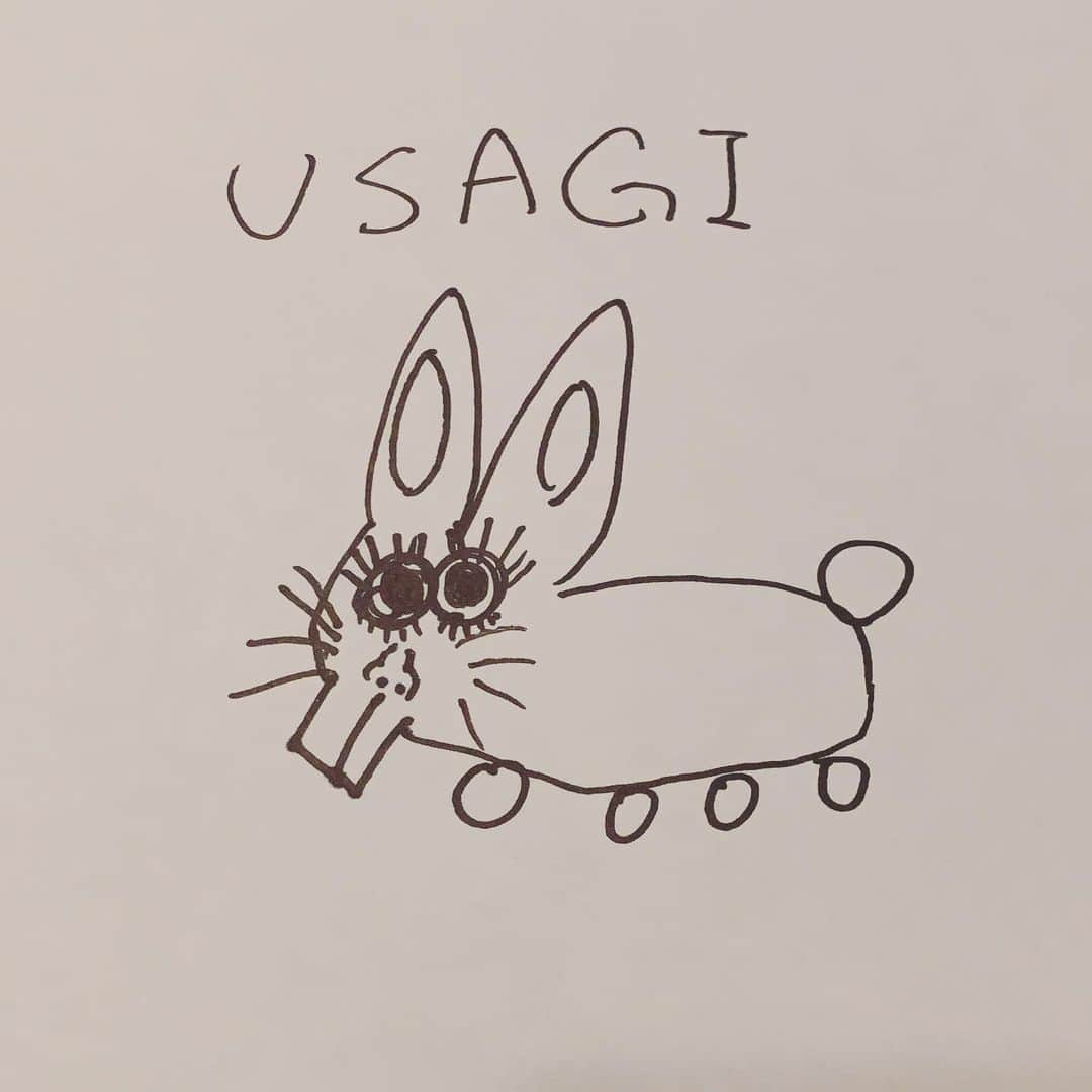 池岡亮介のインスタグラム：「皆さまと描いたUSAGIに愛着がどんどん湧いてくる。  #ぽん酒場」