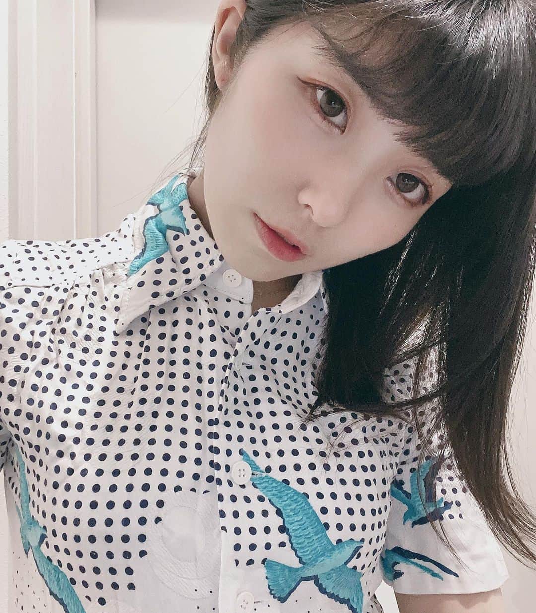 東雲れいかのインスタグラム：「. 5月もありがとうございました！ れいかもみんなに幸せを運べる存在になりたいです🕊 夏が来るね みんな何したい？ . . . . . . .  #黒髪 #ミディアム　#青い鳥　#ワンピース　#followｍe #instalike #instagood #instagram #instapic #instalove #likeit #likeme #likesforlike #like4likes #팔로우환영 #팔로우반사 #팔로우해요 #팔로미 #팔로우미 #팔로우그램 #맞팔 #맞팔환영 #맞팔해요 #선팔 #선팔환영 #japanesegirl #black hair」