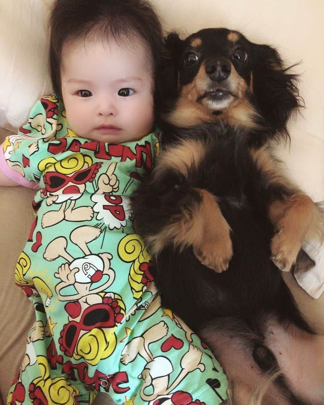 KIKKOさんのインスタグラム写真 - (KIKKOInstagram)「🐶Lime&Baby👶🏼 . なかよし。ってゆーてるわらいむ。笑 . 産まれたときはらいむの方が大きかったのに もうらいむのより2キロ重くなったBabyちゃん👶🏼💖 . 男の子みたいなパイナップルヘア🍍は どうすればなおるのでしょうか？笑 . 大きくなってもずっと仲良くしてな🐶👶🏼 2人ともママの宝物💖 . #いぬすたぐらむ #いぬのいる暮らし #いぬ #いぬのきもち #あかちゃんのいる生活 #あかちゃん  #あかちゃんのいる暮らし  #なかよし #なかよしこよし #おんなのこママ  #べびふる #べびー #生後3ヶ月 #いぬとこども  #ママの宝物 #毎日癒しをありがとう 💖」5月31日 23時20分 - kikko.093