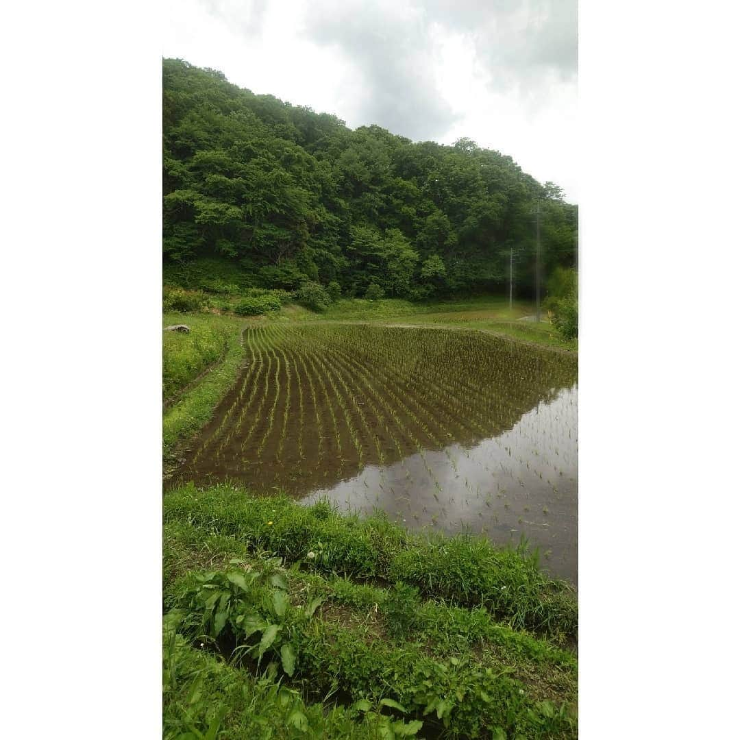 花陽みらのインスタグラム