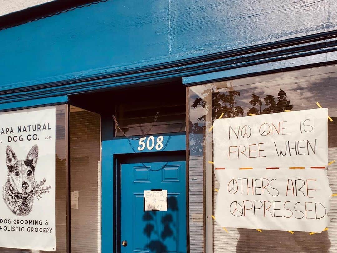 Dogs by Ginaのインスタグラム：「“If you are the big tree, we are the small axe, sharpened to cut you down.” -Bob Marley  #standupVallejo #blacklivesmatter .  Stop the hate. Only kindness matters.」