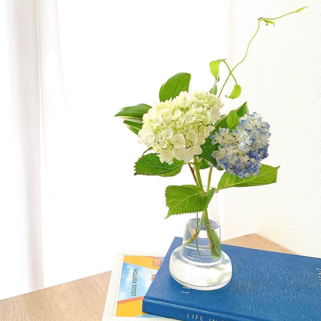 Sayakaのインスタグラム：「* Hello, June💙 どんよりお天気の日の 憂鬱な気分も癒やしてくれる紫陽花💠  今日も素敵な1日になりますように🕊✨ . .  #flower #flowers #hydrangea #flowerlovers #floweroftheday #flowerstagram #sayakasflower  #花 #あじさい #アジサイ #紫陽花 #花のある暮らし #花のある生活」