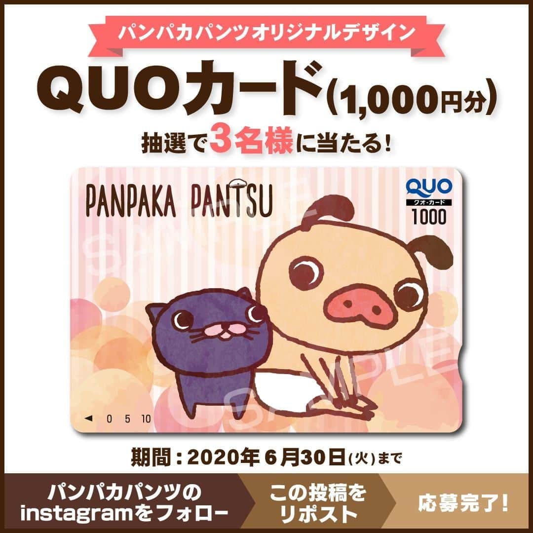 パンパカパンツ公式のインスタグラム