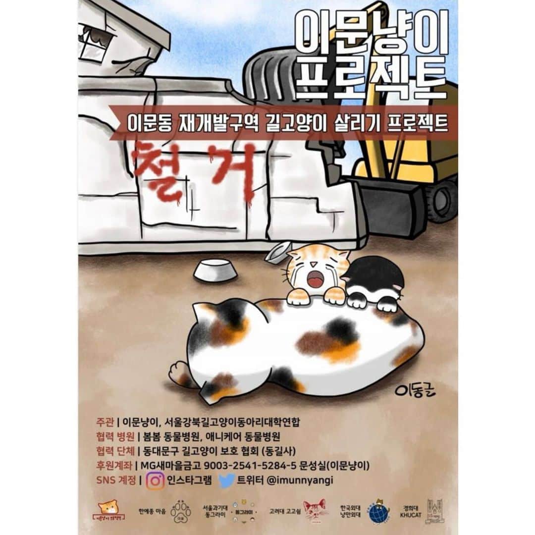ソラさんのインスタグラム写真 - (ソラInstagram)「작은관심과 도움의 손길이 고양이들에게는 아주 큰 새로운 희망으로💌😺💖 #imunnyang」6月1日 10時16分 - seola_s