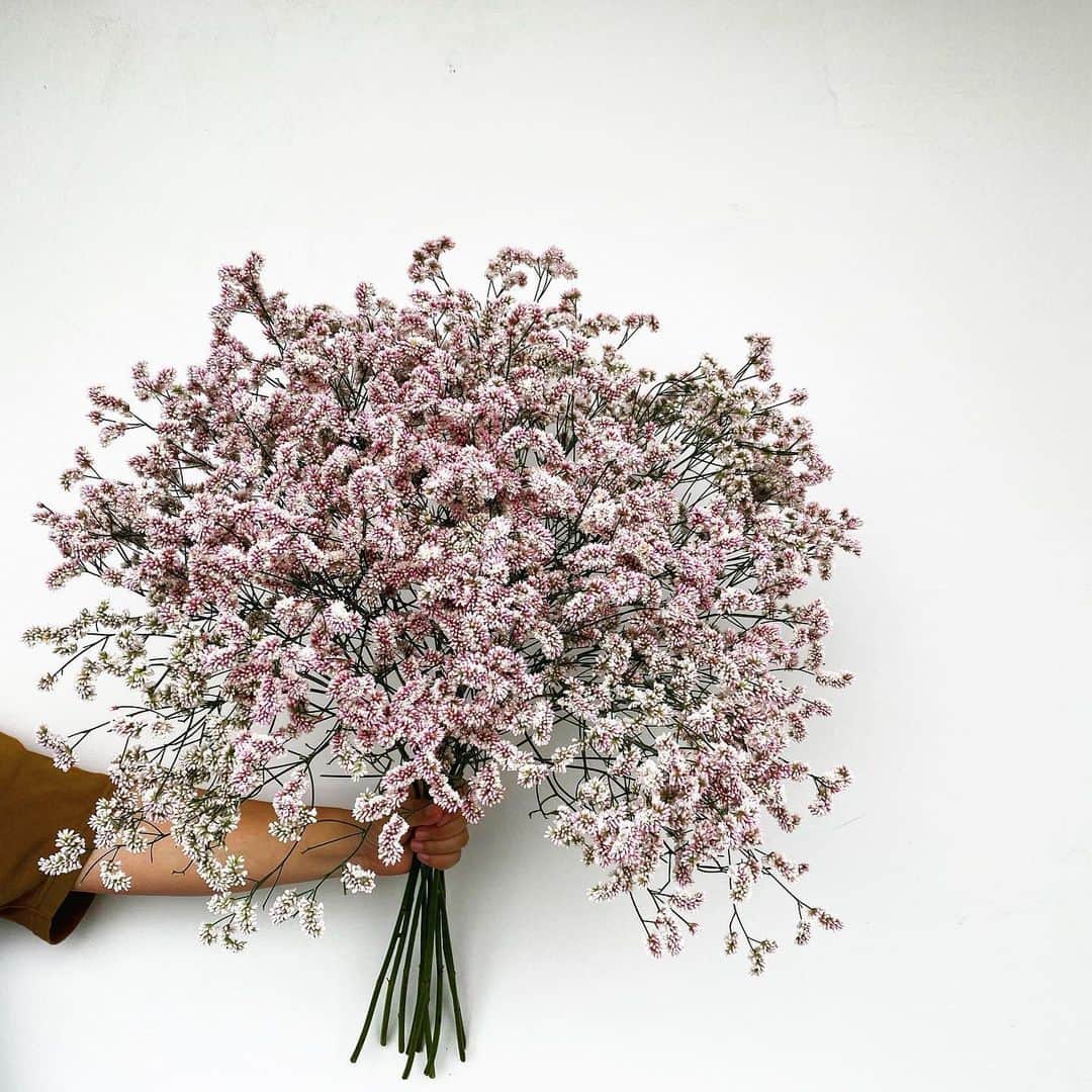 MILLE ECLAT.のグルメインスタ