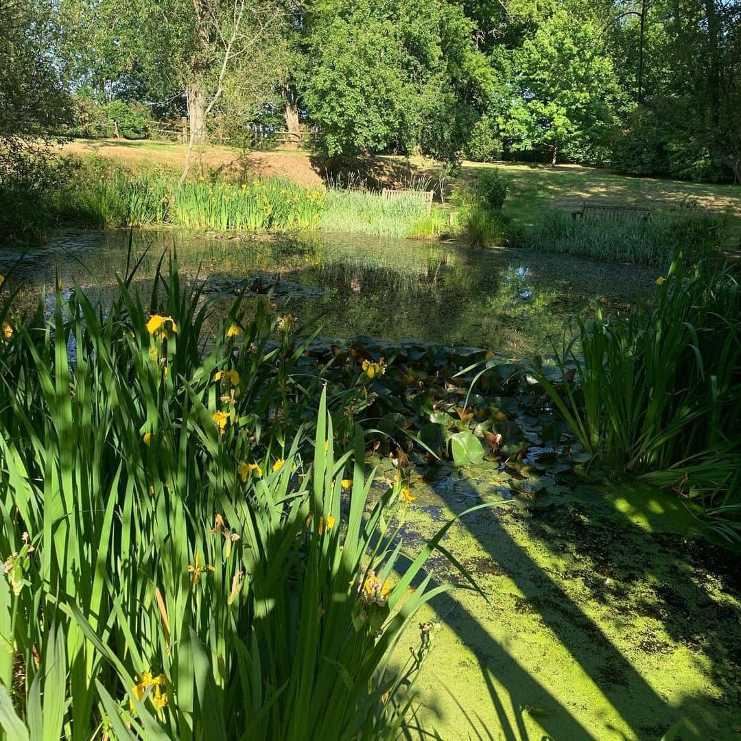 シャンタルトーマスさんのインスタグラム写真 - (シャンタルトーマスInstagram)「La campagne déjeuner chez une amie la Normandie n’a jamais été aussi ensoleillée #perche #normandie #spring」6月1日 2時12分 - chantalthomass