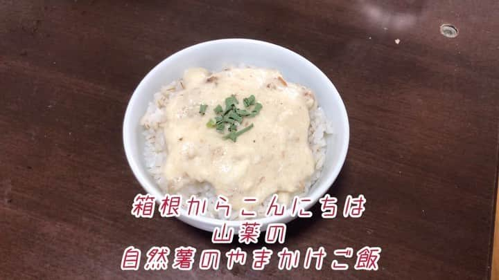 原田フニャオ（原田吉洋）のインスタグラム：「#食レポ王への道 #とろろ #自然薯 #お土産 #深夜投稿 #おやすみなさい #フニャオ」