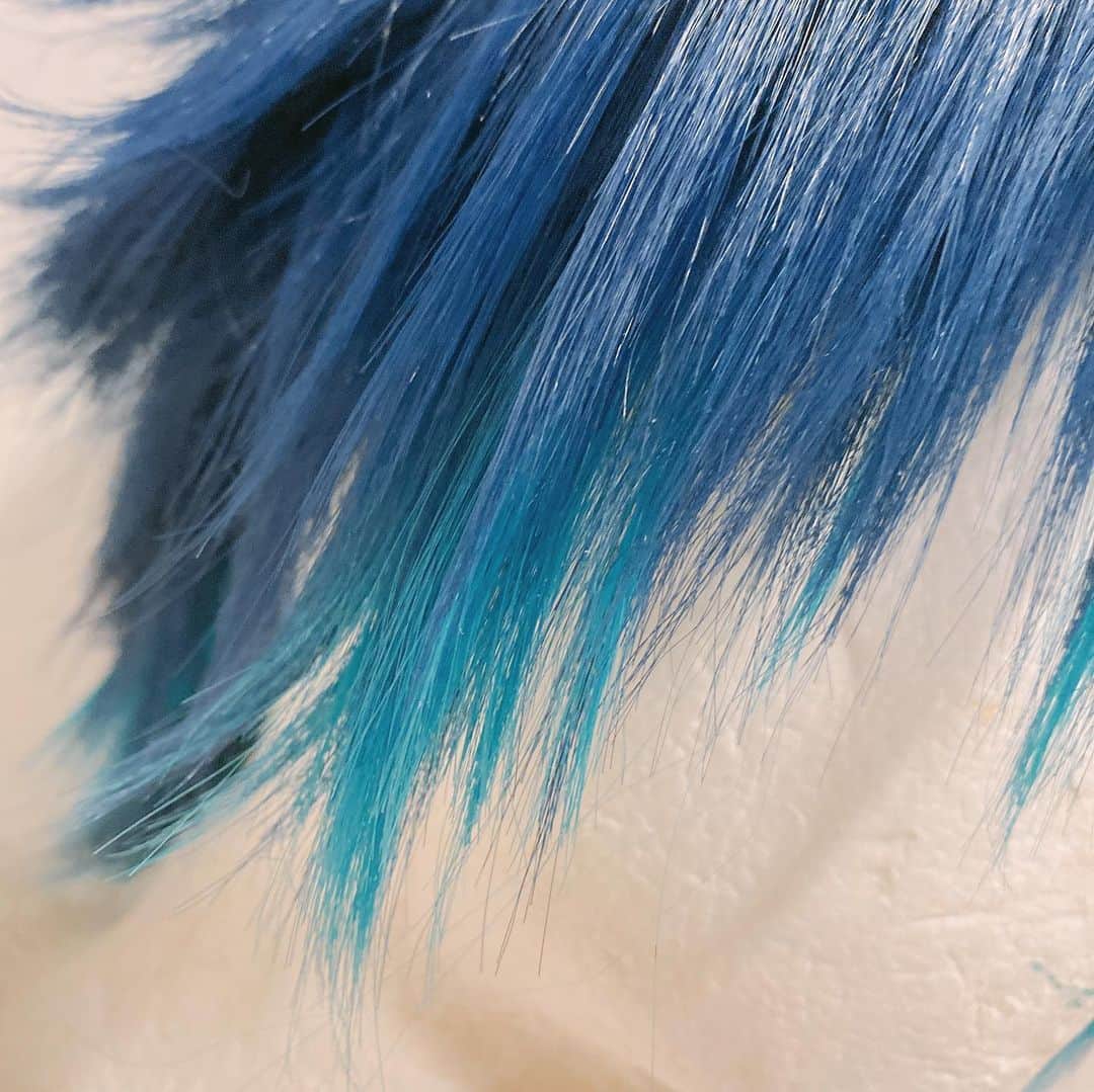華密美琉さんのインスタグラム写真 - (華密美琉Instagram)「ハーツラビュルのデュースのコスプレウィッグ完成！！ イラストの髪の影の部分色が違うのを毛束で表現してみました！ 色が出過ぎず綺麗なグラデーションになるように気をつけました！！ コスプレしたらまた更新するのでマジカメ(カモミールSNS)チェックよろよろ♪」6月1日 3時10分 - chamomile_chami