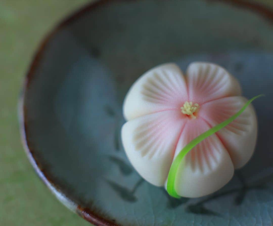 Toru Tsuchieのグルメインスタ