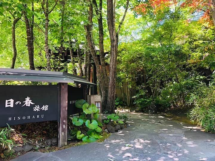 ゆふいん温泉　日の春旅館のグルメインスタ